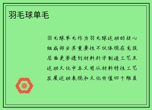 羽毛球单毛