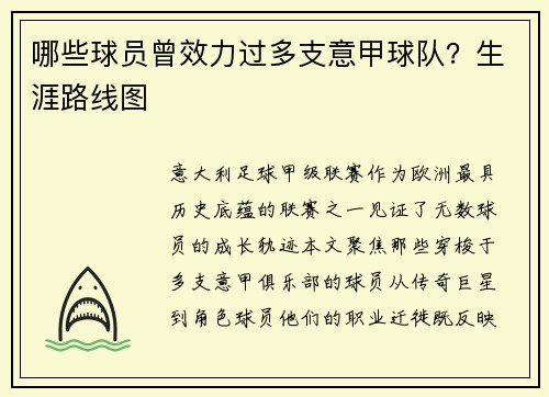 哪些球员曾效力过多支意甲球队？生涯路线图